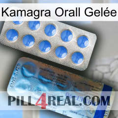 Kamagra Orall Gelée 40